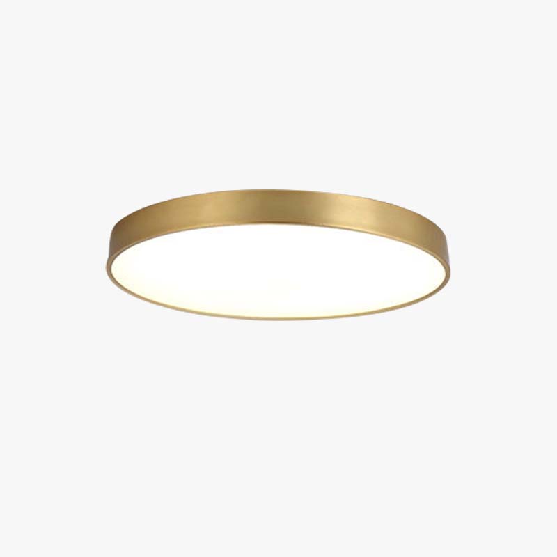 Arisha Nordic LED Round Flush Mount Ceiling Light &Acrylic