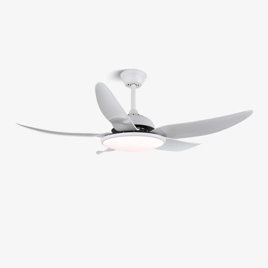 Aquila Modern Ceiling Fan Light