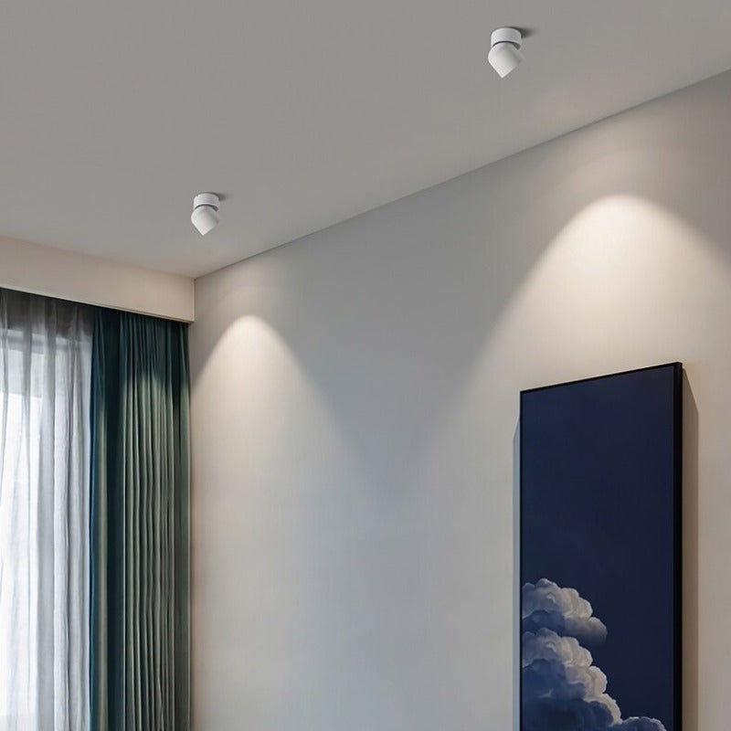 Arisha Modern LED Ceiling Light Spotlight Bedroom