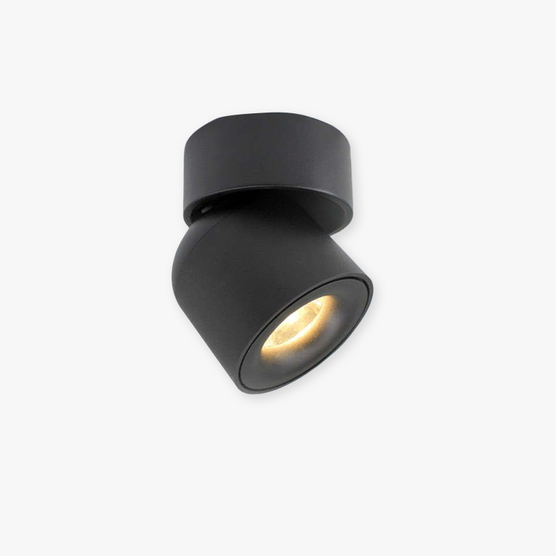 Arisha Modern LED Ceiling Light Spotlight Bedroom