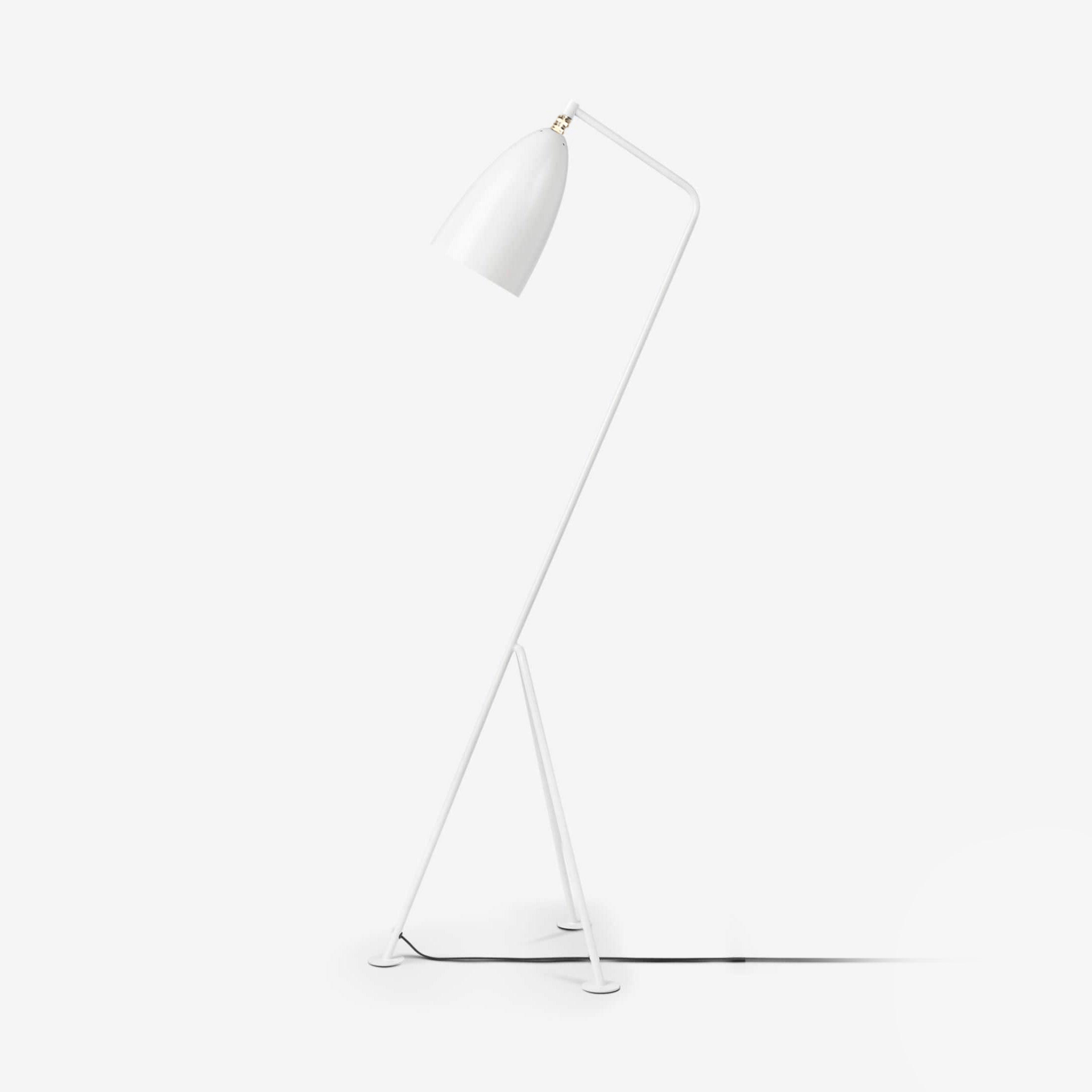 Mireleria Minimalist Floor Lamp