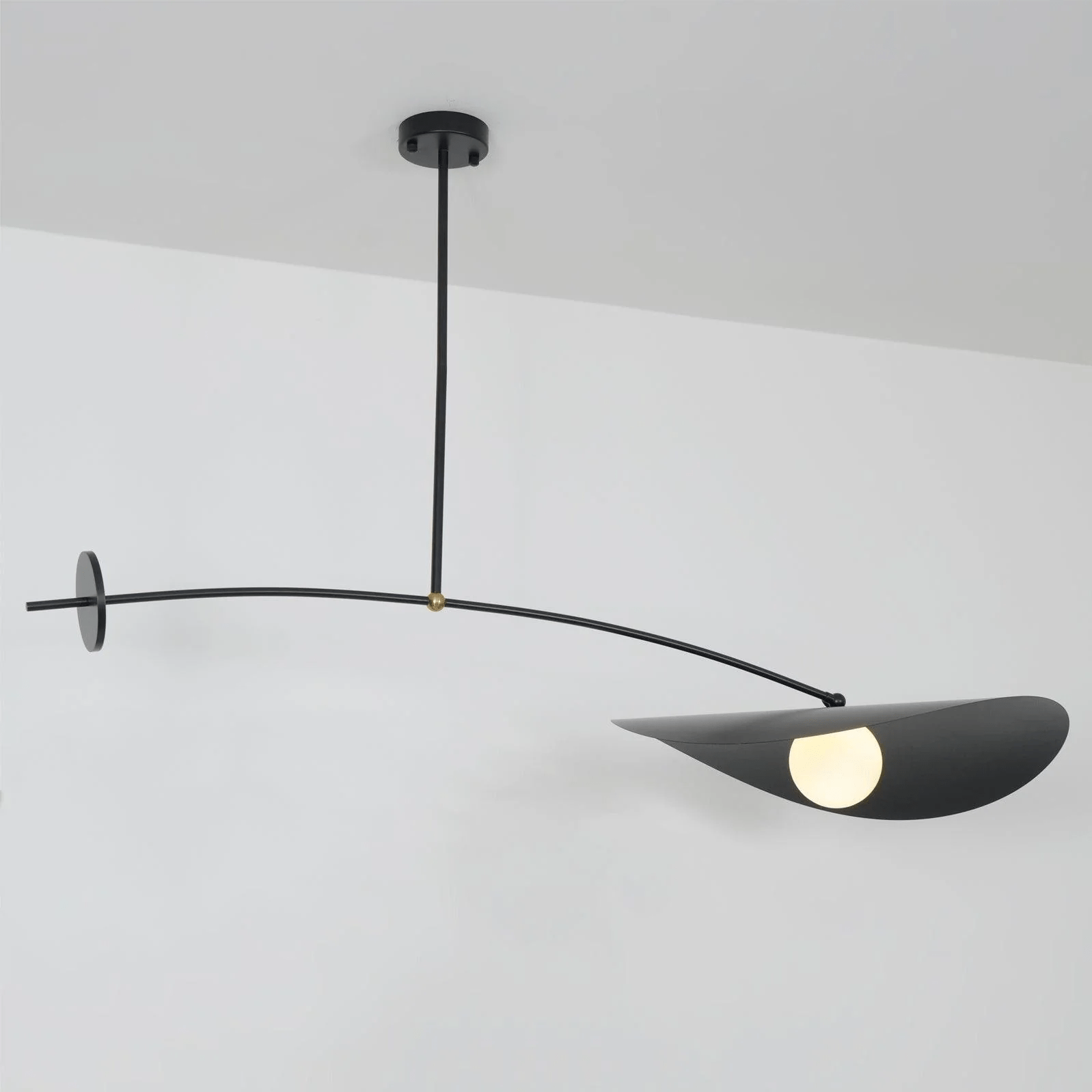 Arcflow Dynamic Curve Pendant Light