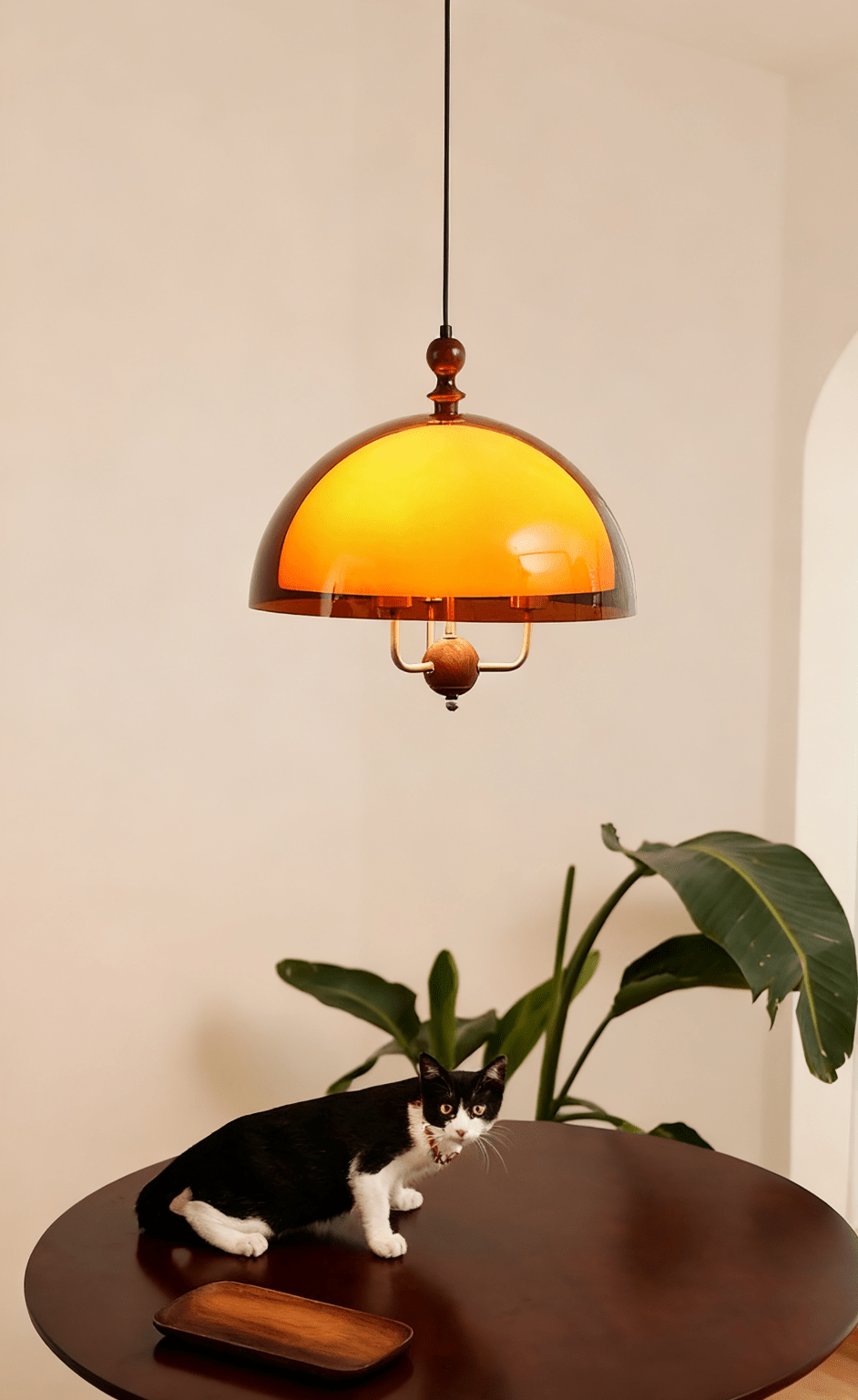 Cindariel Dome Shaped Pendant Light