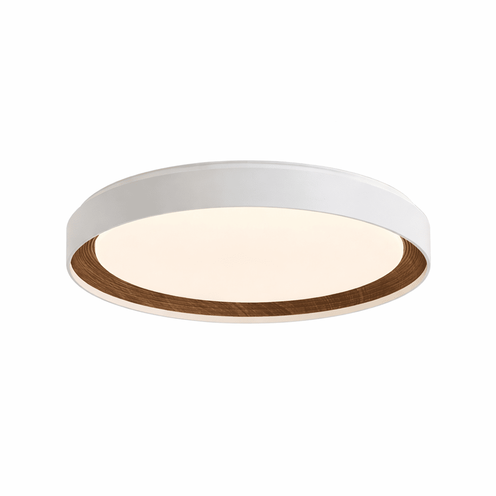 Lucien Acrylic Ceiling Light