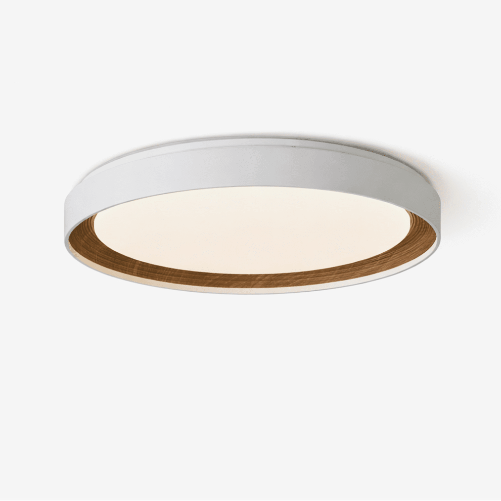 Lucien Acrylic Ceiling Light