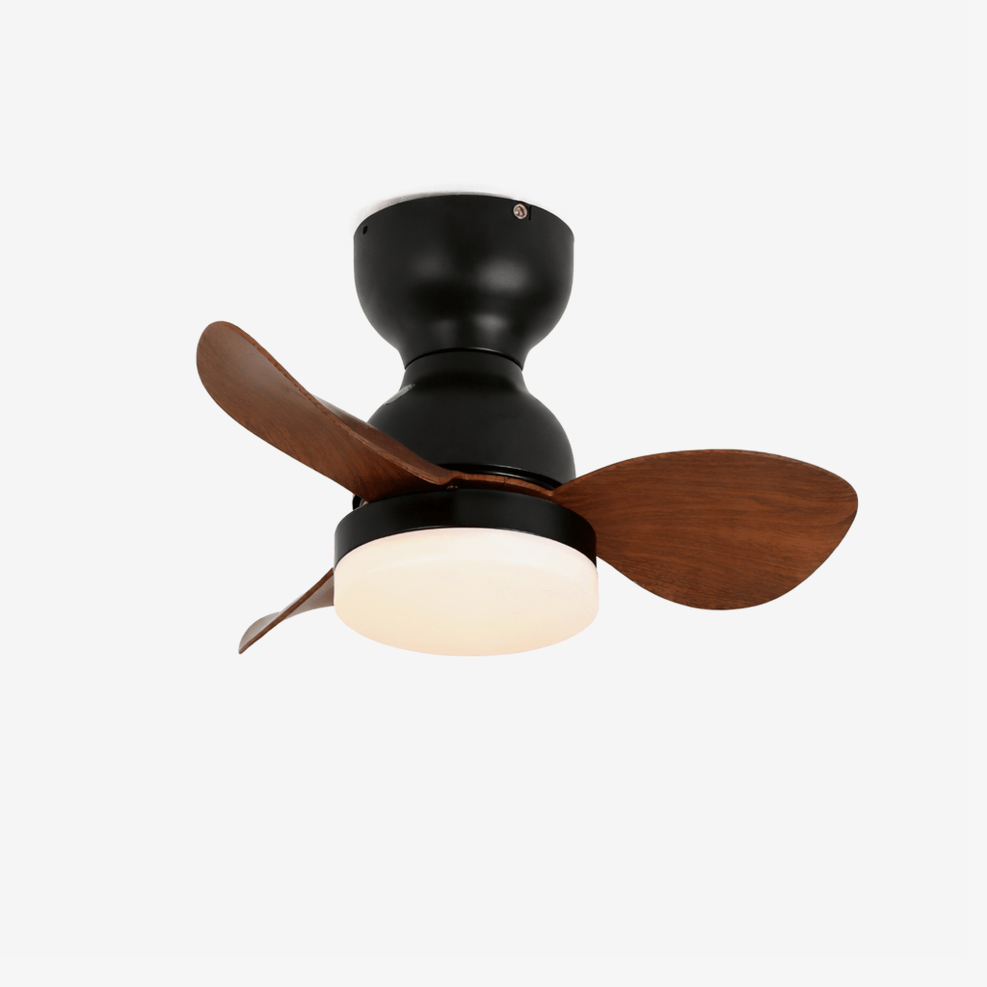 Renuina Ceiling Fan Light