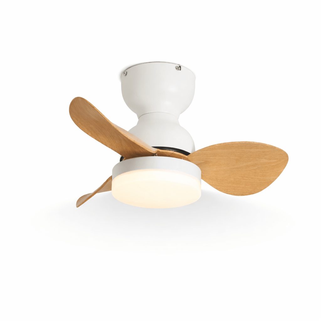 Renuina Ceiling Fan Light