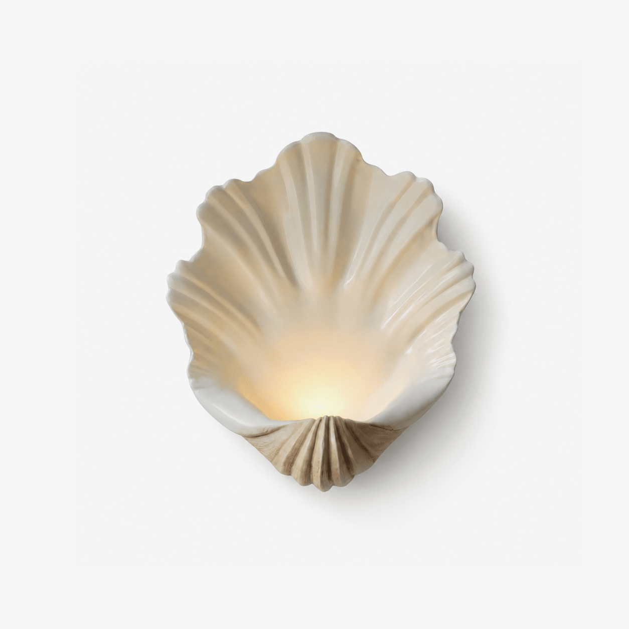 Shell Wall Sconce