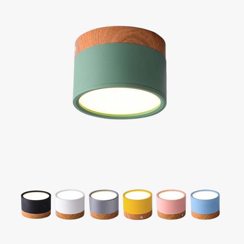 Valentina Modern Cylindrical /Acrylic Flush Mount Ceiling Light Hallway