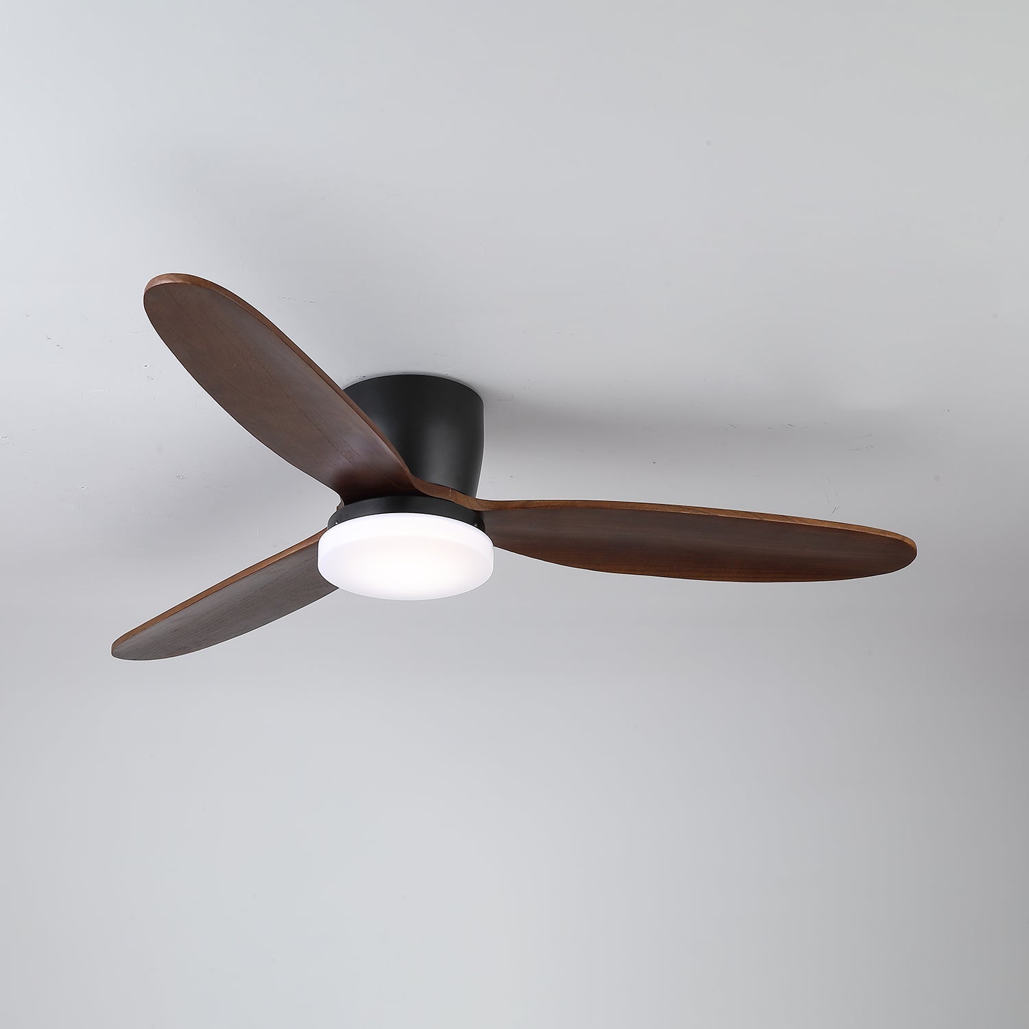 Athyrs Ceiling Fan Light