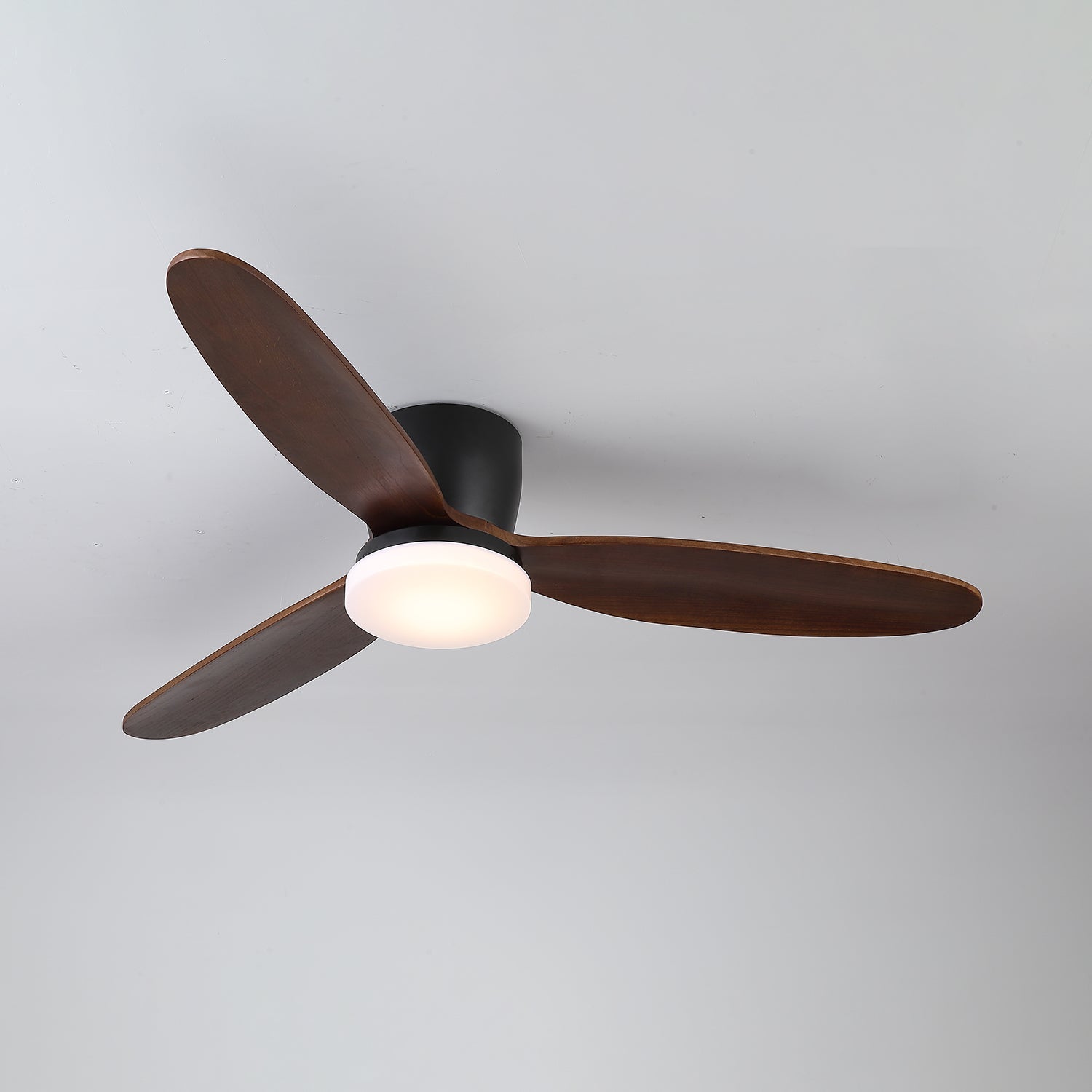 Athyrs Ceiling Fan Light