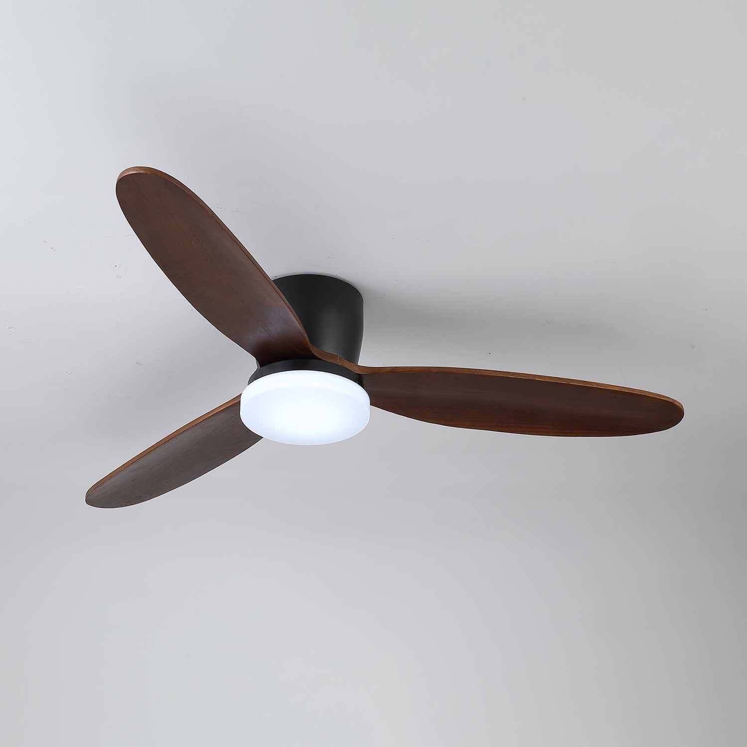 Athyrs Ceiling Fan Light