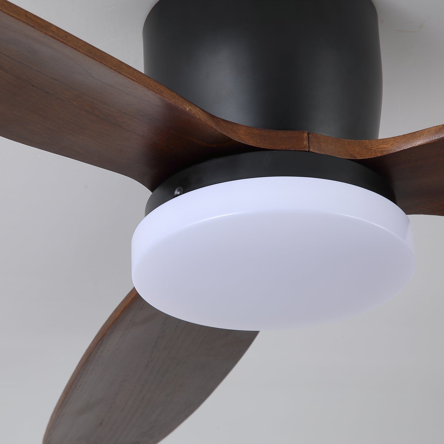 Athyrs Ceiling Fan Light