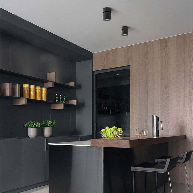 Arisha Modern LED Ceiling Light Spotlight Bedroom