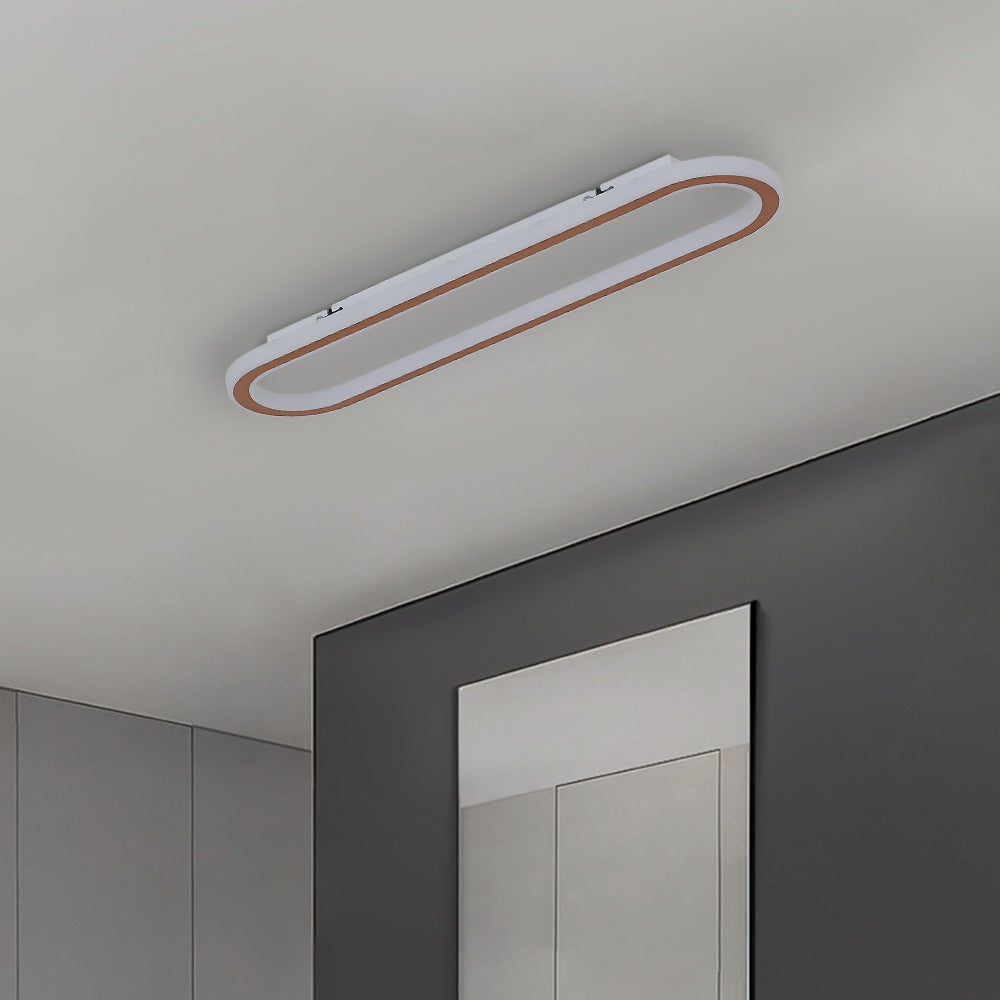 Arisha Minimalist Rectangular Flush Mount Ceiling Light