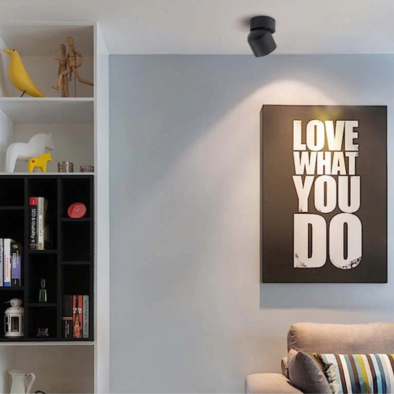 Arisha Modern LED Ceiling Light Spotlight Bedroom