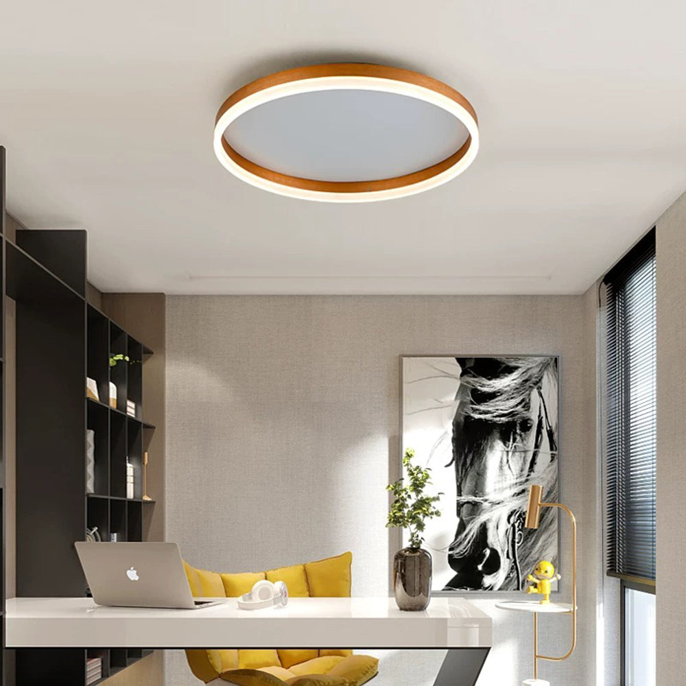 Arisha Modern Flush Mount Ceiling Light Ring