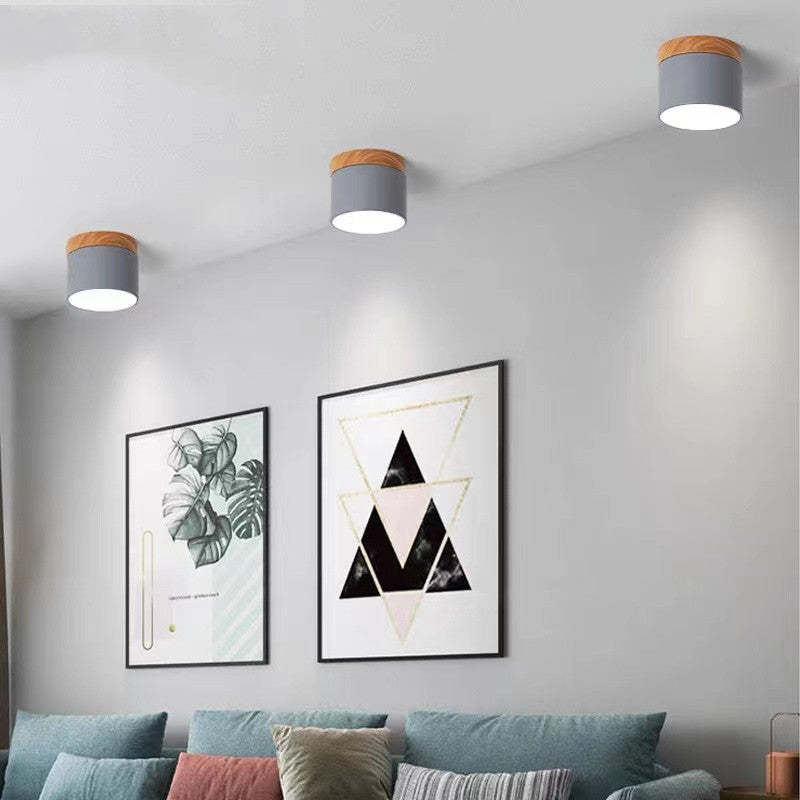 Valentina Modern Cylindrical /Acrylic Flush Mount Ceiling Light Hallway