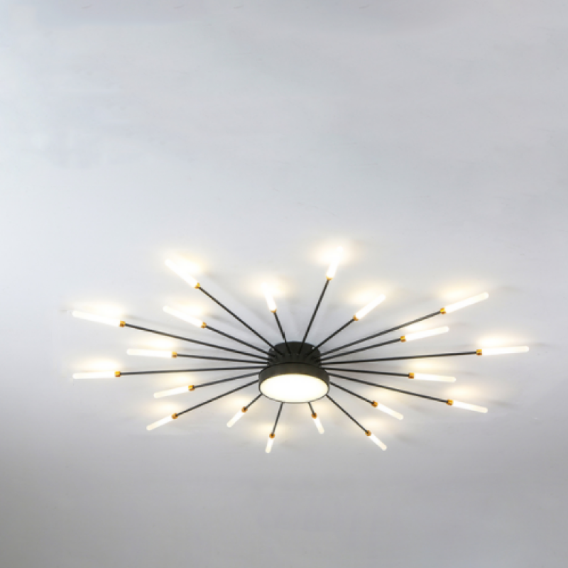 Arisha Modern Home Decoration Fireworks LED Ceiling Light