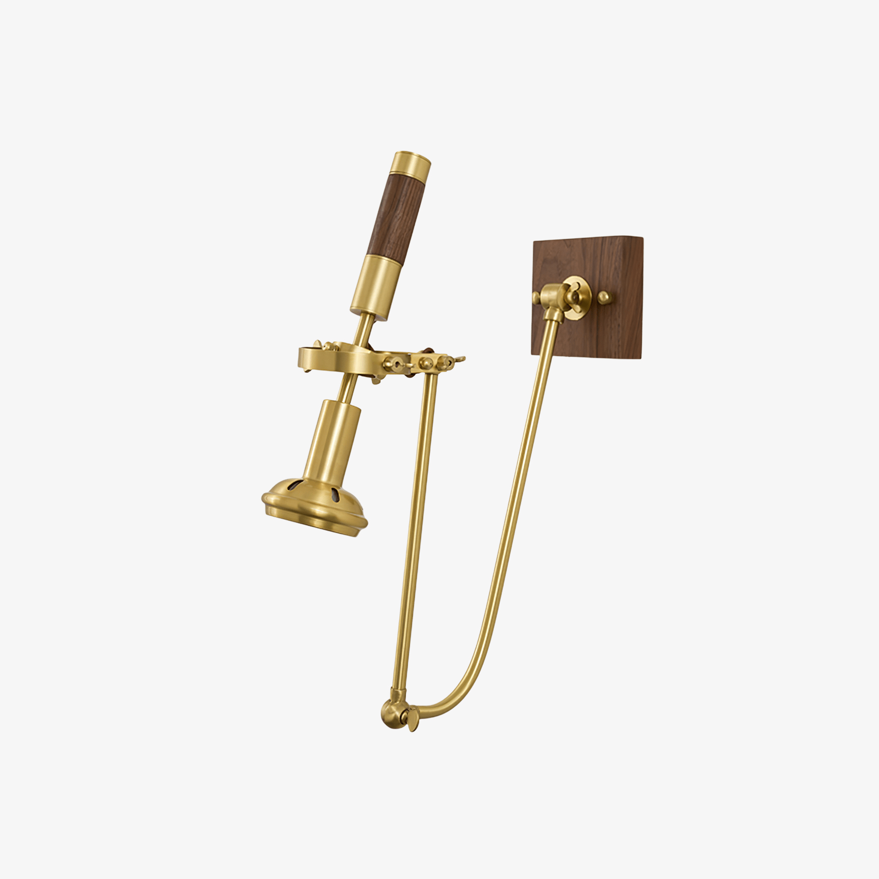 Caliise Wall Light