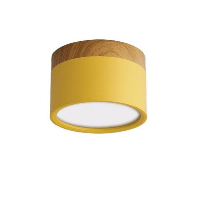 Valentina Modern Cylindrical /Acrylic Flush Mount Ceiling Light Hallway