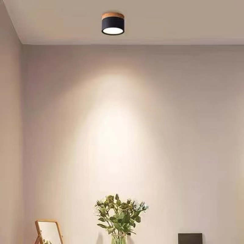 Valentina Modern Cylindrical /Acrylic Flush Mount Ceiling Light Hallway