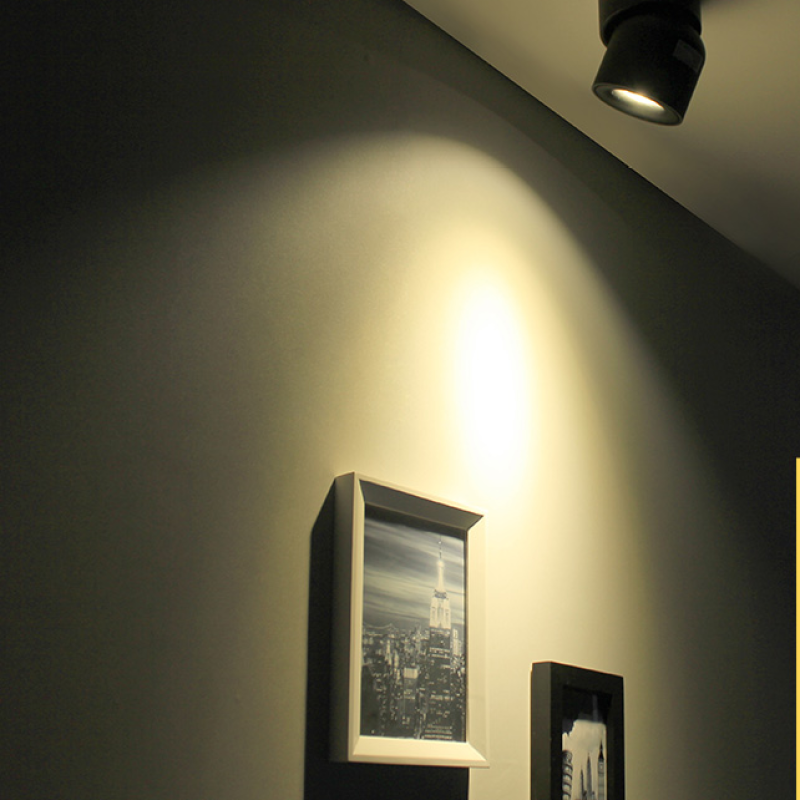 Arisha Modern LED Ceiling Light Spotlight Bedroom