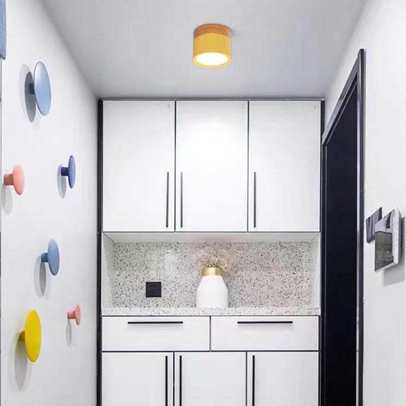 Valentina Modern Cylindrical /Acrylic Flush Mount Ceiling Light Hallway