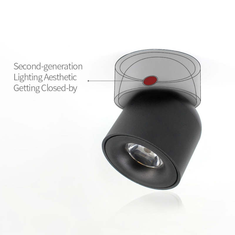 Arisha Modern LED Ceiling Light Spotlight Bedroom