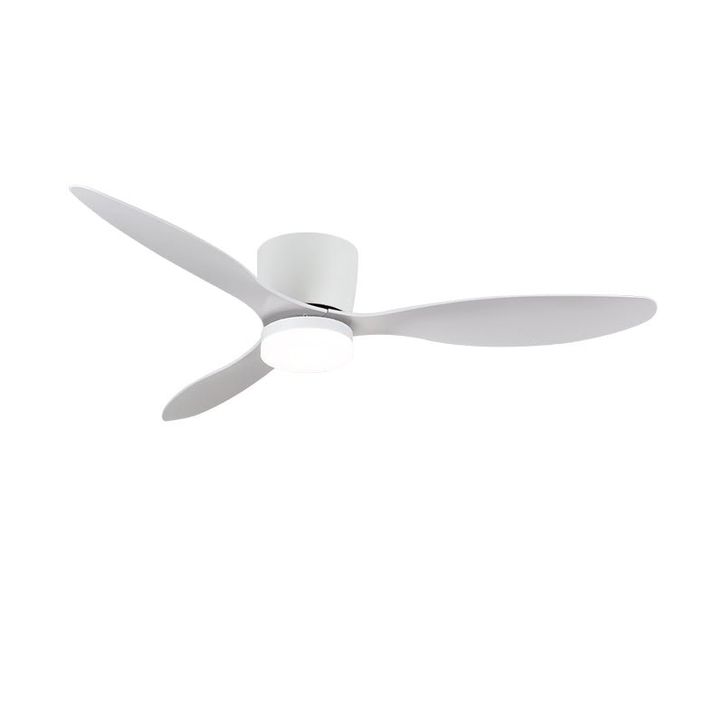 Knox Minimalist Ceiling Fan Light