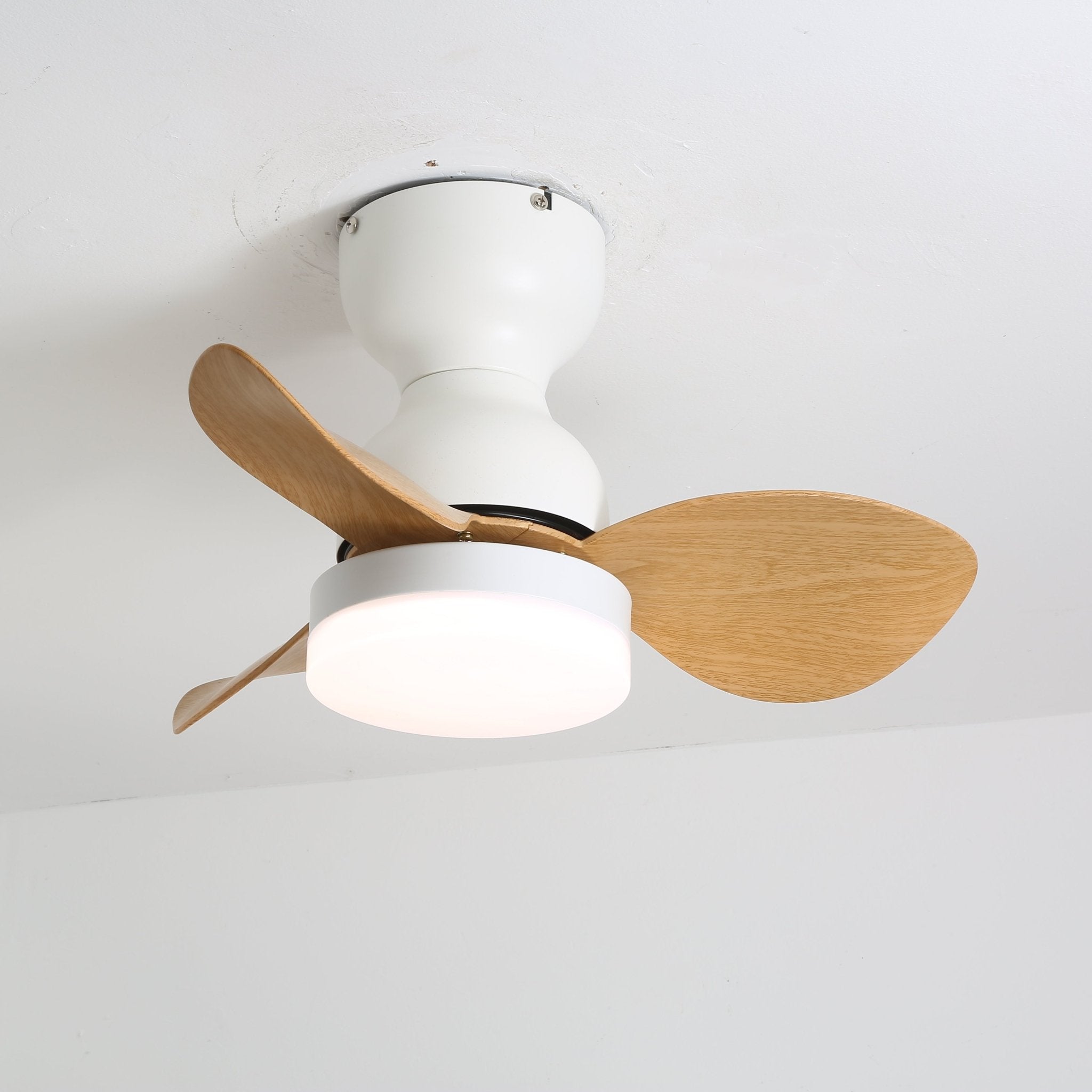 Renuina Ceiling Fan Light