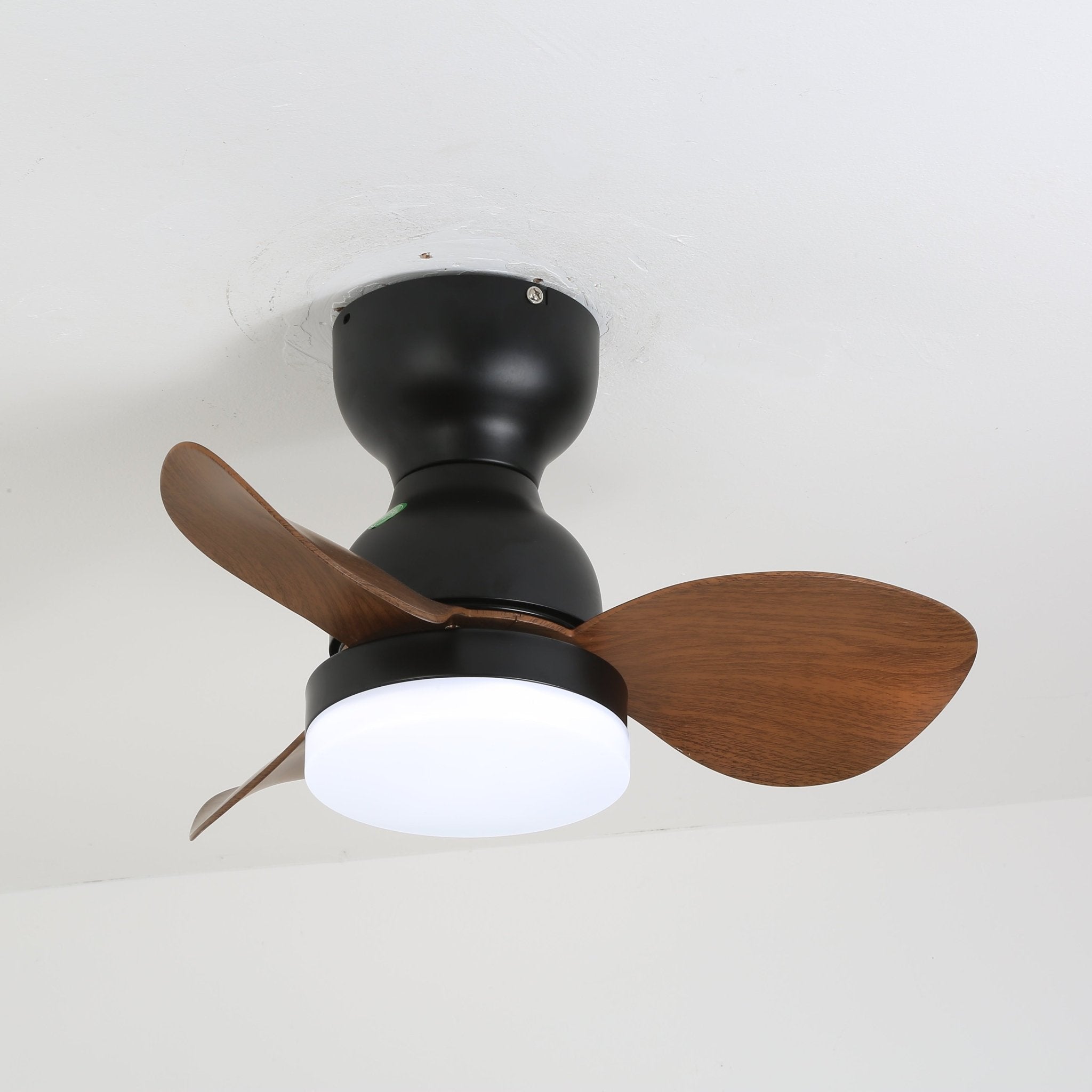 Renuina Ceiling Fan Light