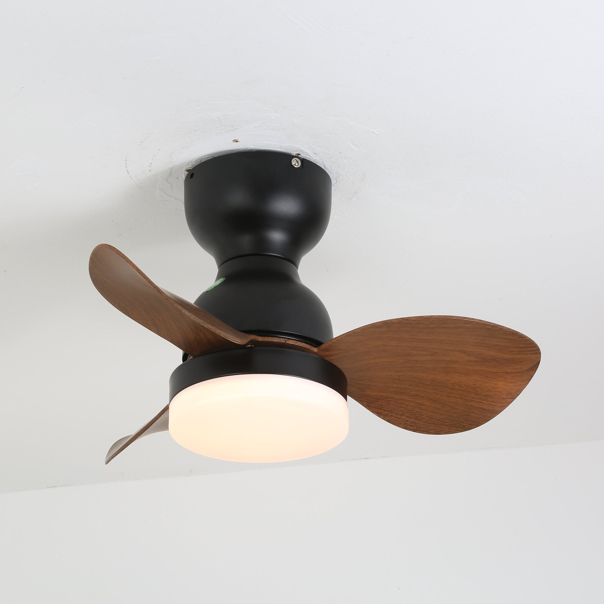 Renuina Ceiling Fan Light