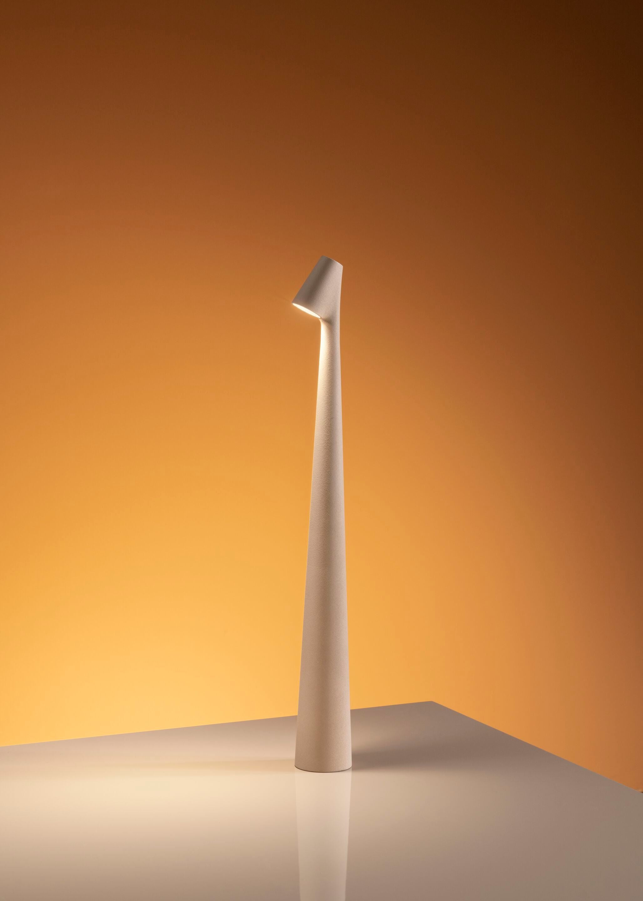 Nirerora Acrylic Minimalist Table Lamp