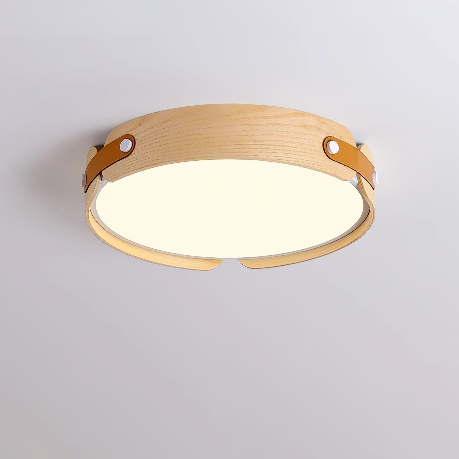 Echo Modern Minimalist Wood Ceiling Light