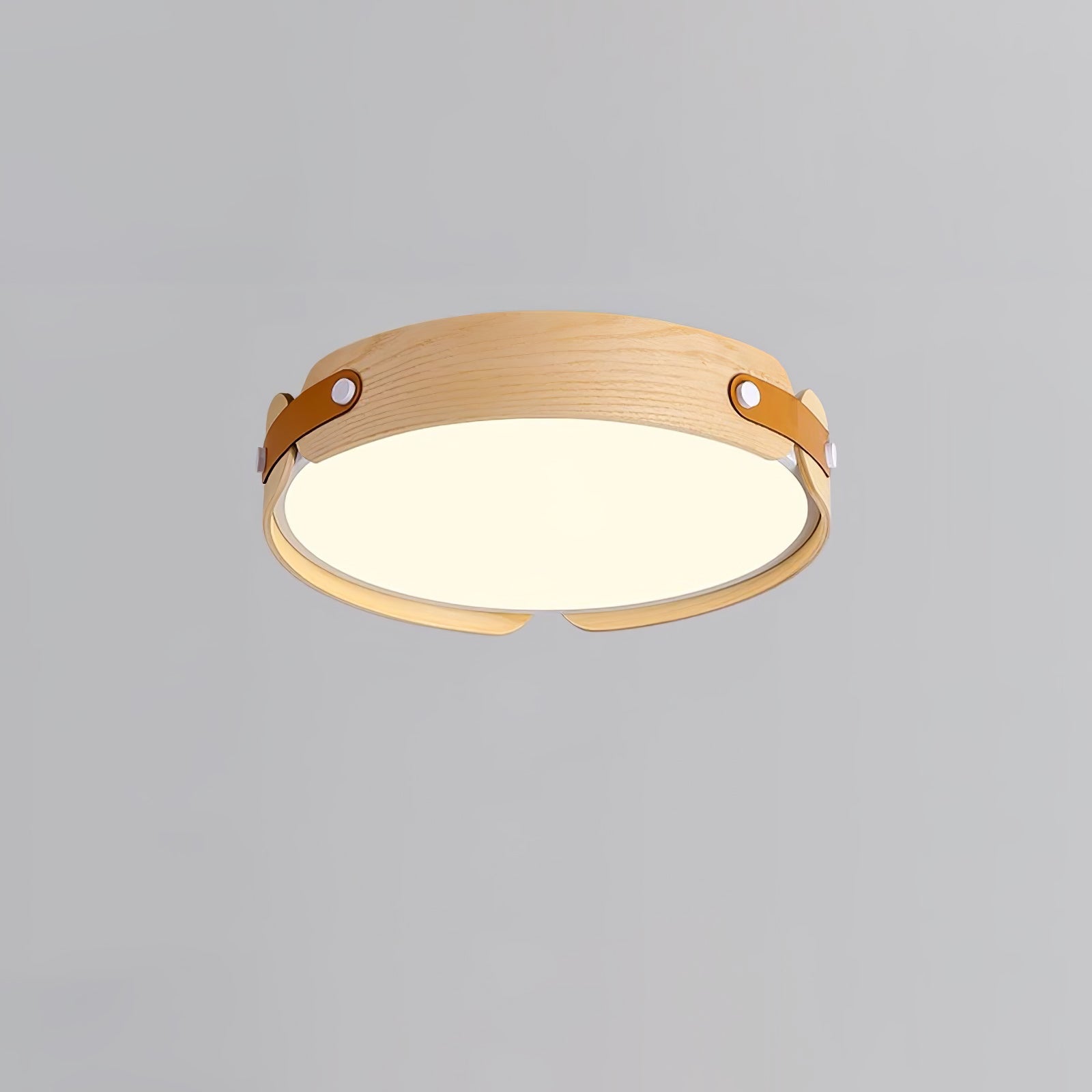 Echo Modern Minimalist Wood Ceiling Light