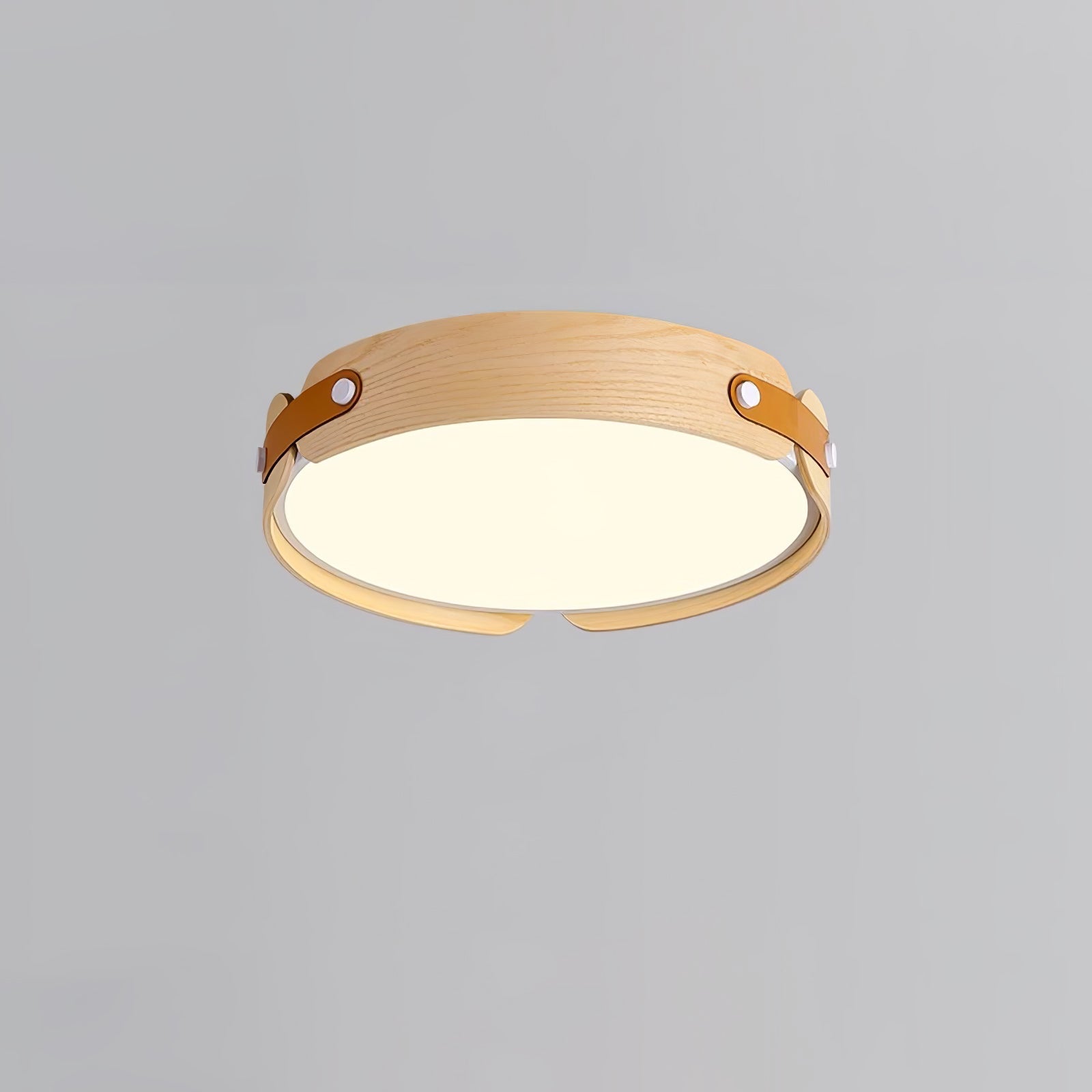 Echo Modern Minimalist Wood Ceiling Light