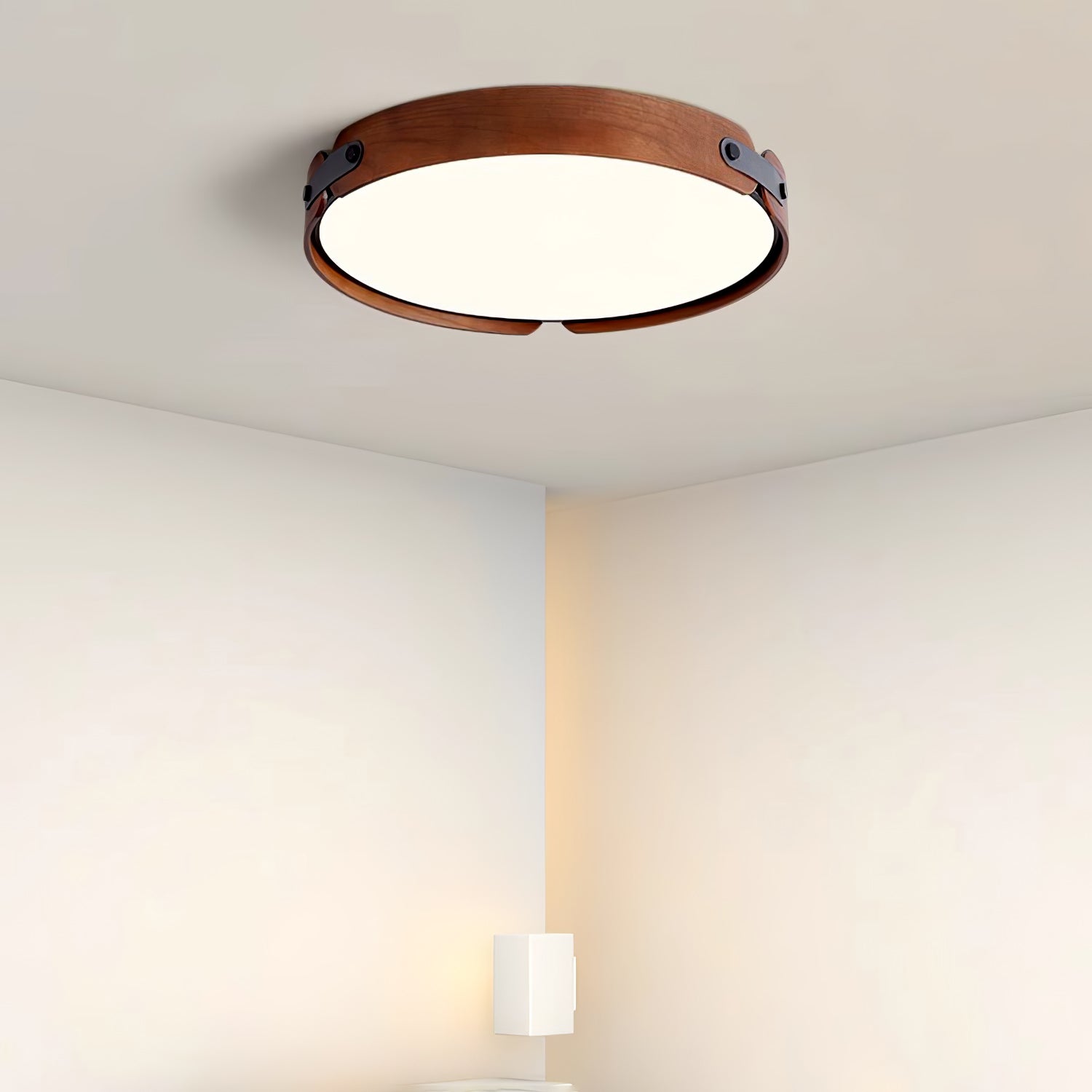 Echo Modern Minimalist Wood Ceiling Light