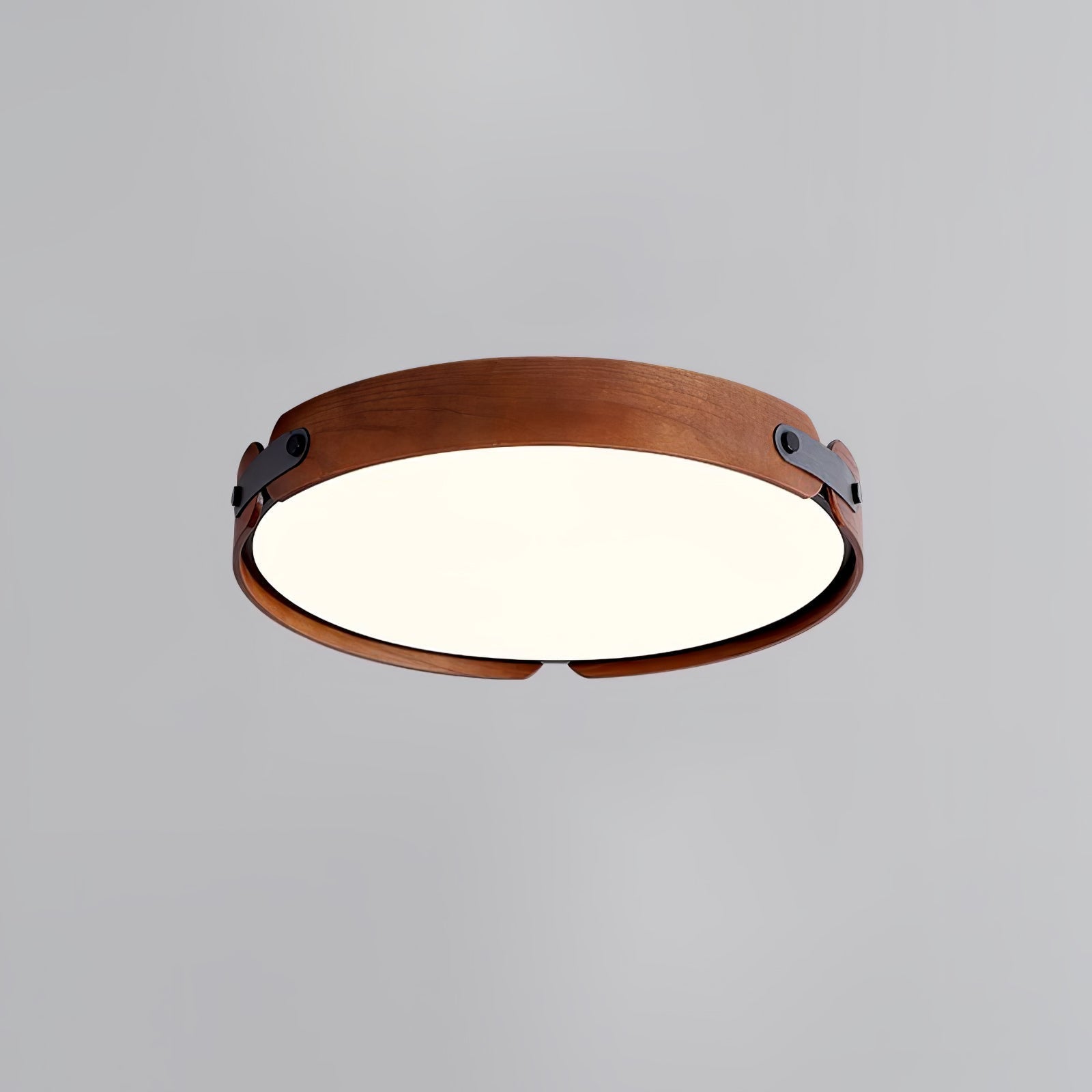 Echo Modern Minimalist Wood Ceiling Light