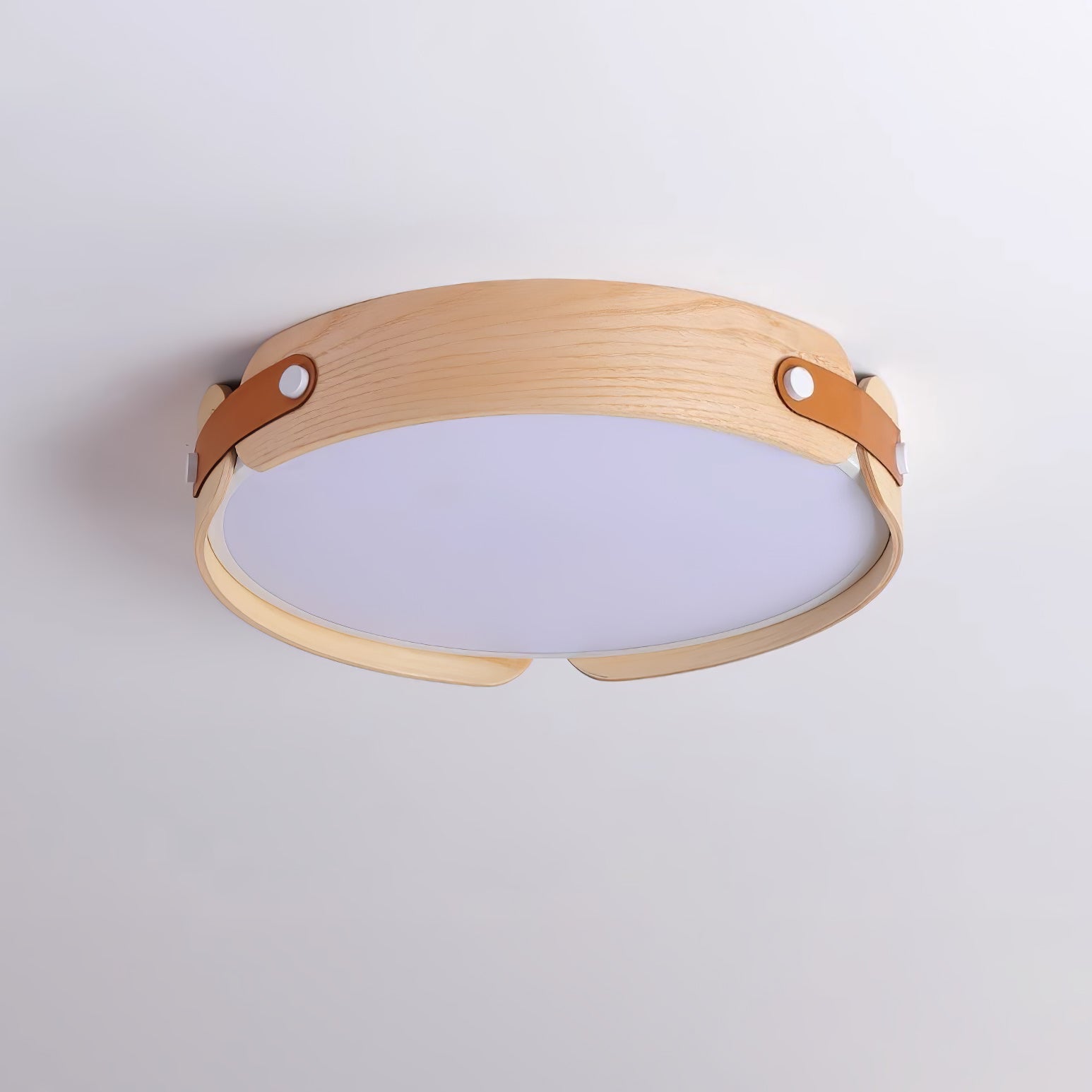 Echo Modern Minimalist Wood Ceiling Light