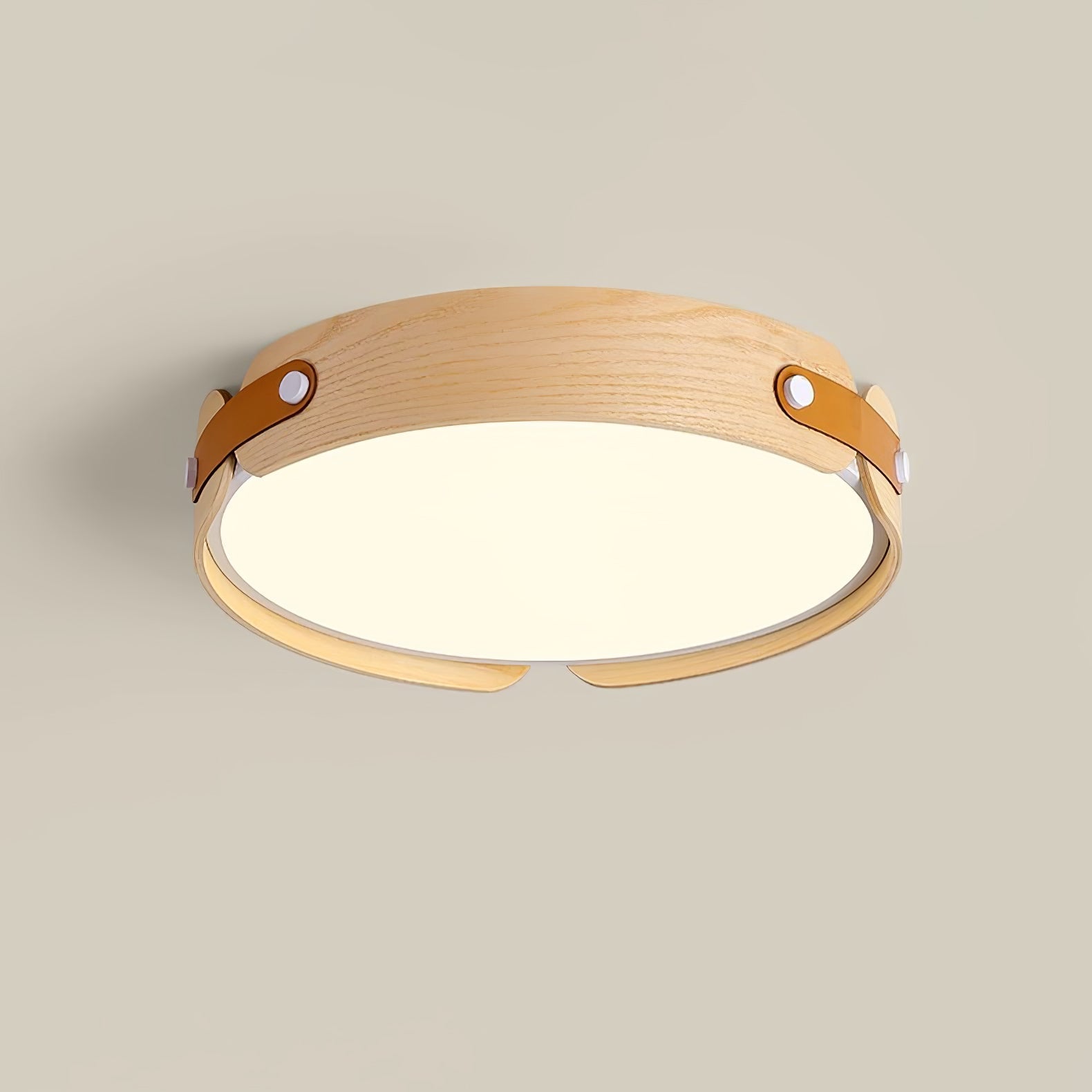Edan Modern Minimalist Wood Ceiling Light