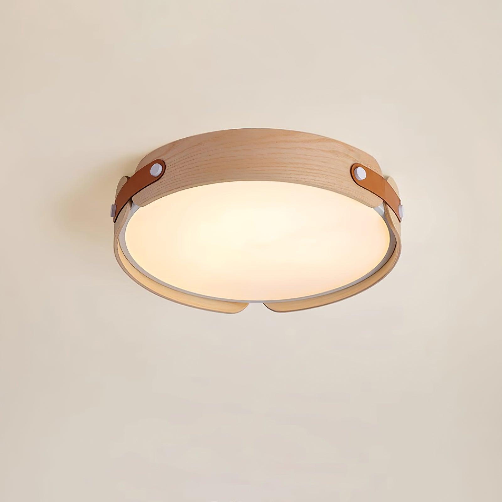 Echo Modern Minimalist Wood Ceiling Light