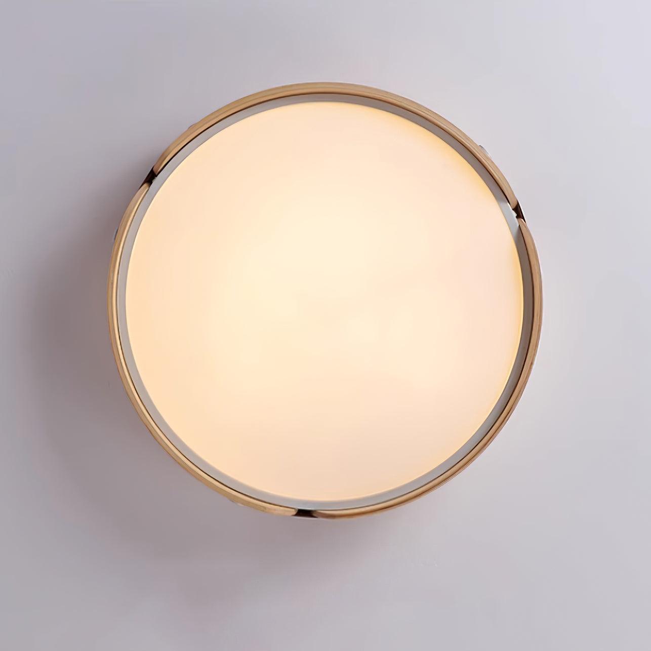 Echo Modern Minimalist Wood Ceiling Light