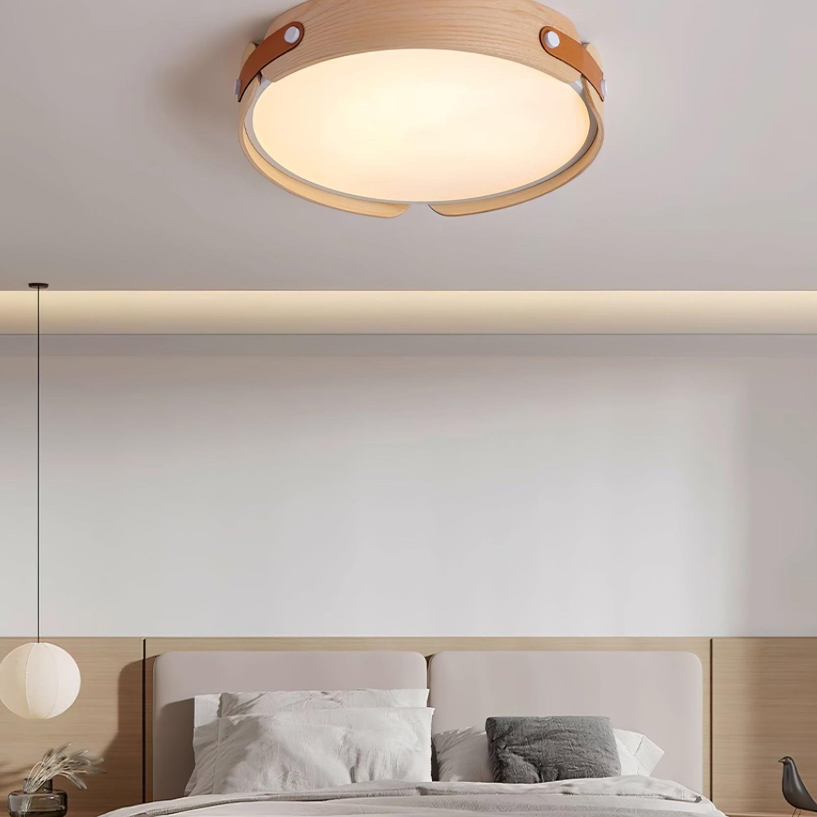 Echo Modern Minimalist Wood Ceiling Light
