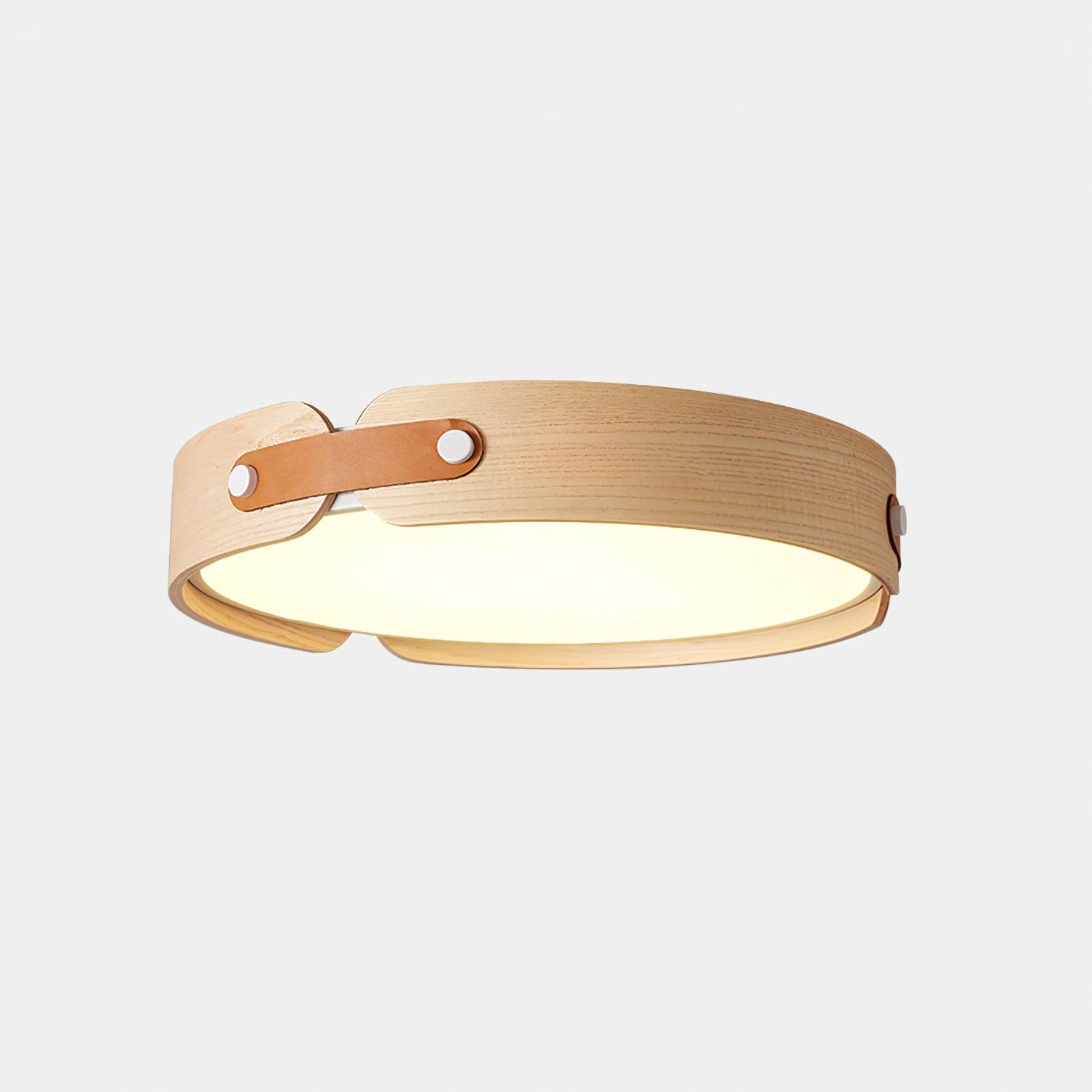 Echo Modern Minimalist Wood Ceiling Light