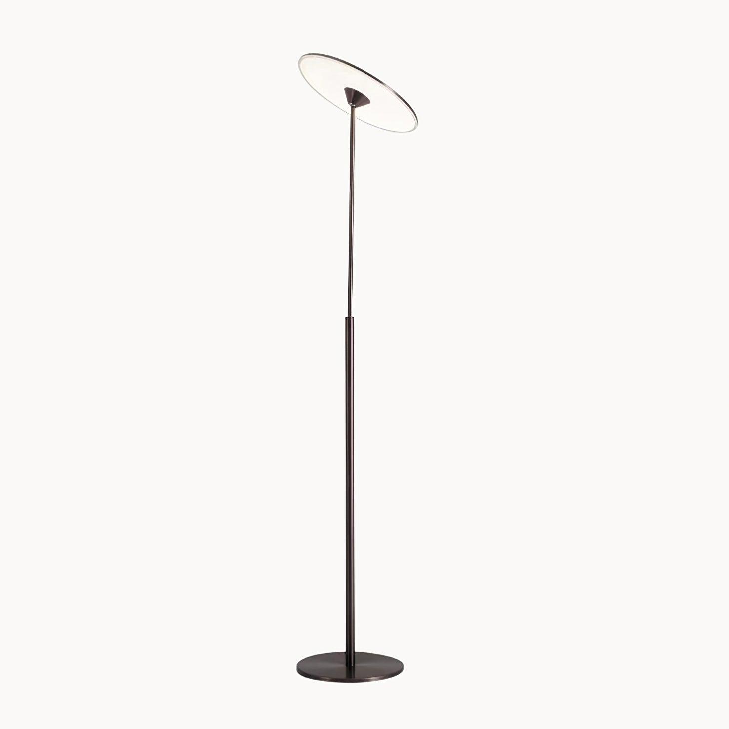 Evynora Minimalist Floor Lamp