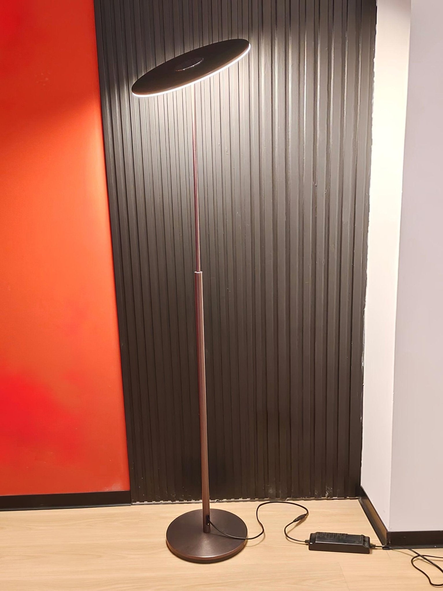 Evynora Minimalist Floor Lamp