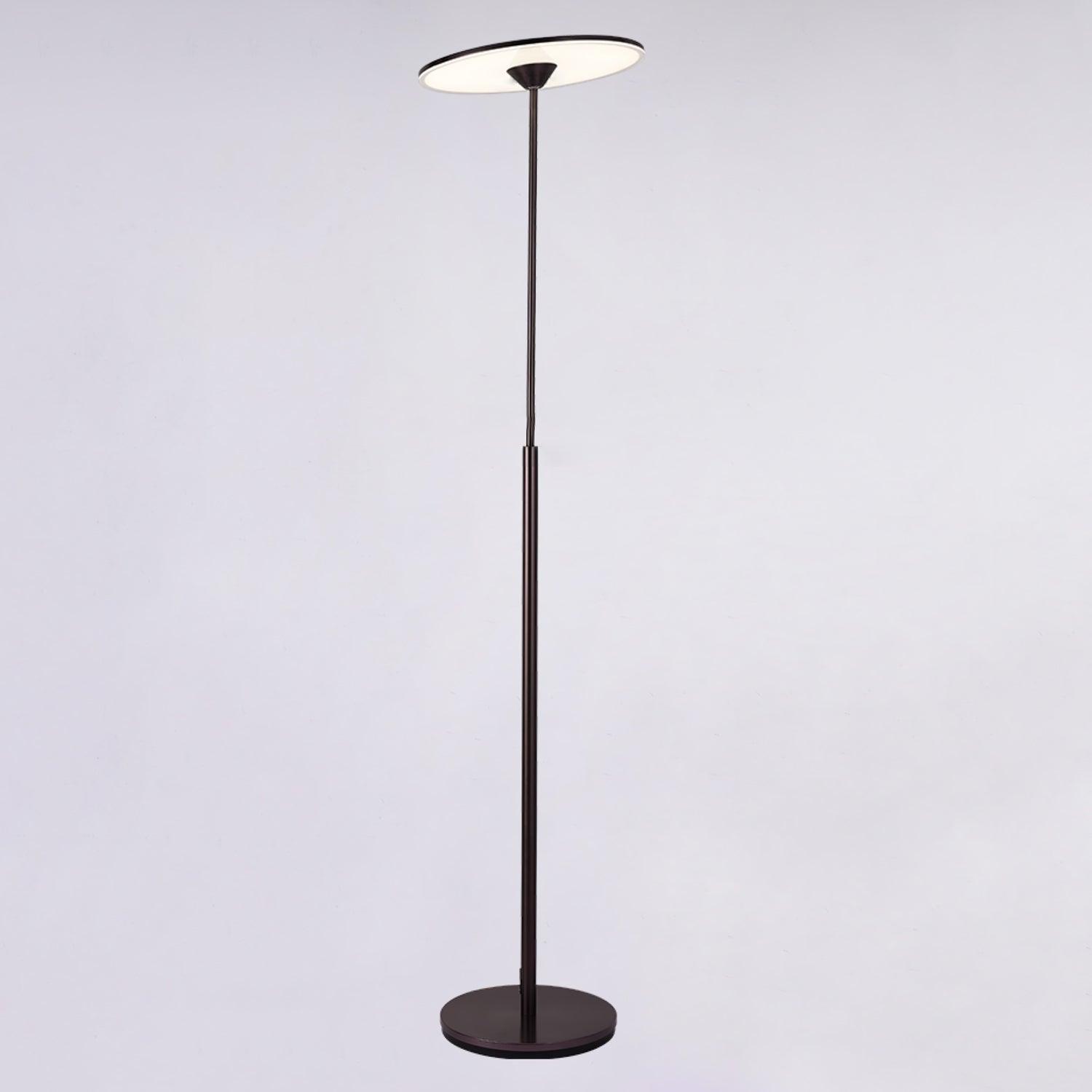 Evynora Minimalist Floor Lamp