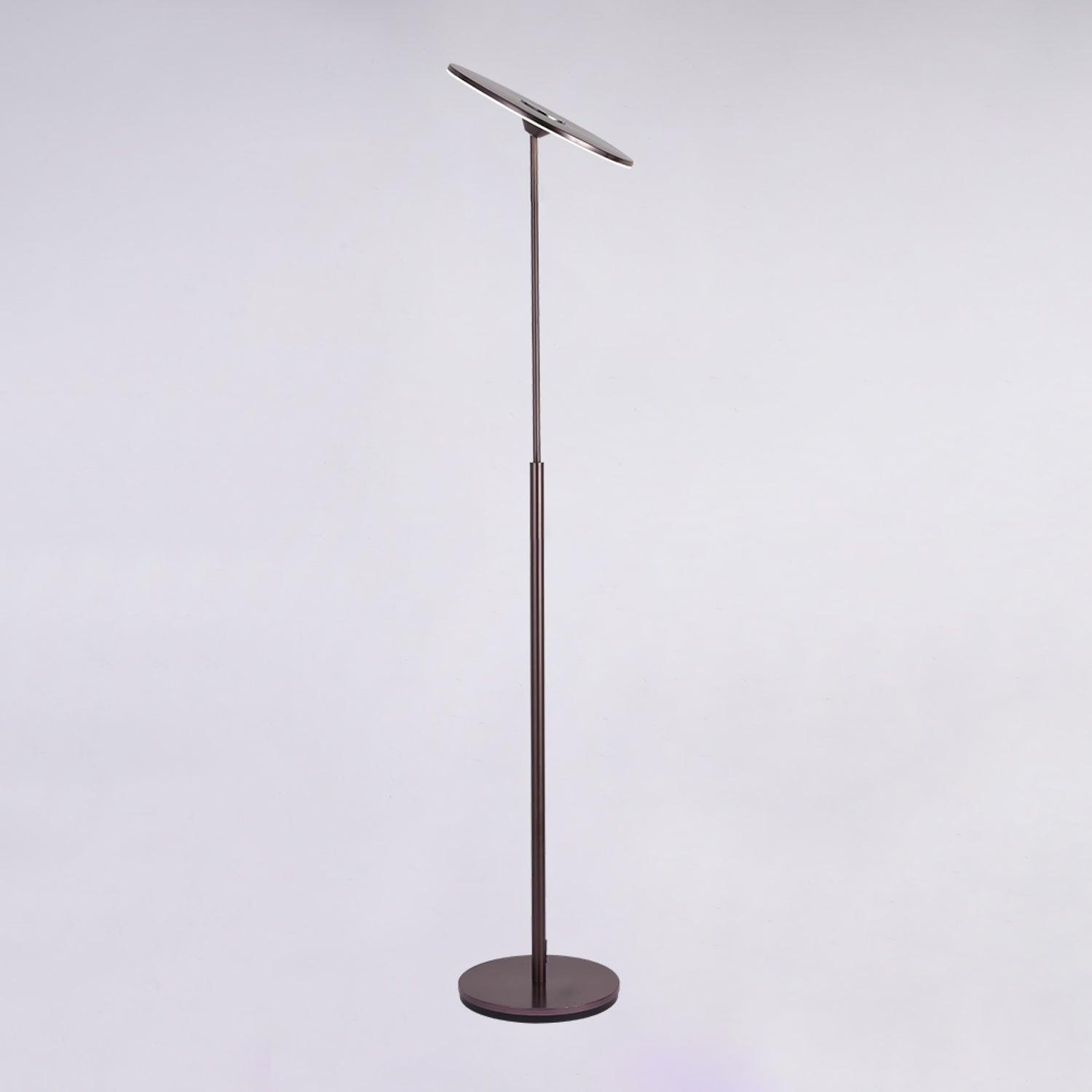 Evynora Minimalist Floor Lamp