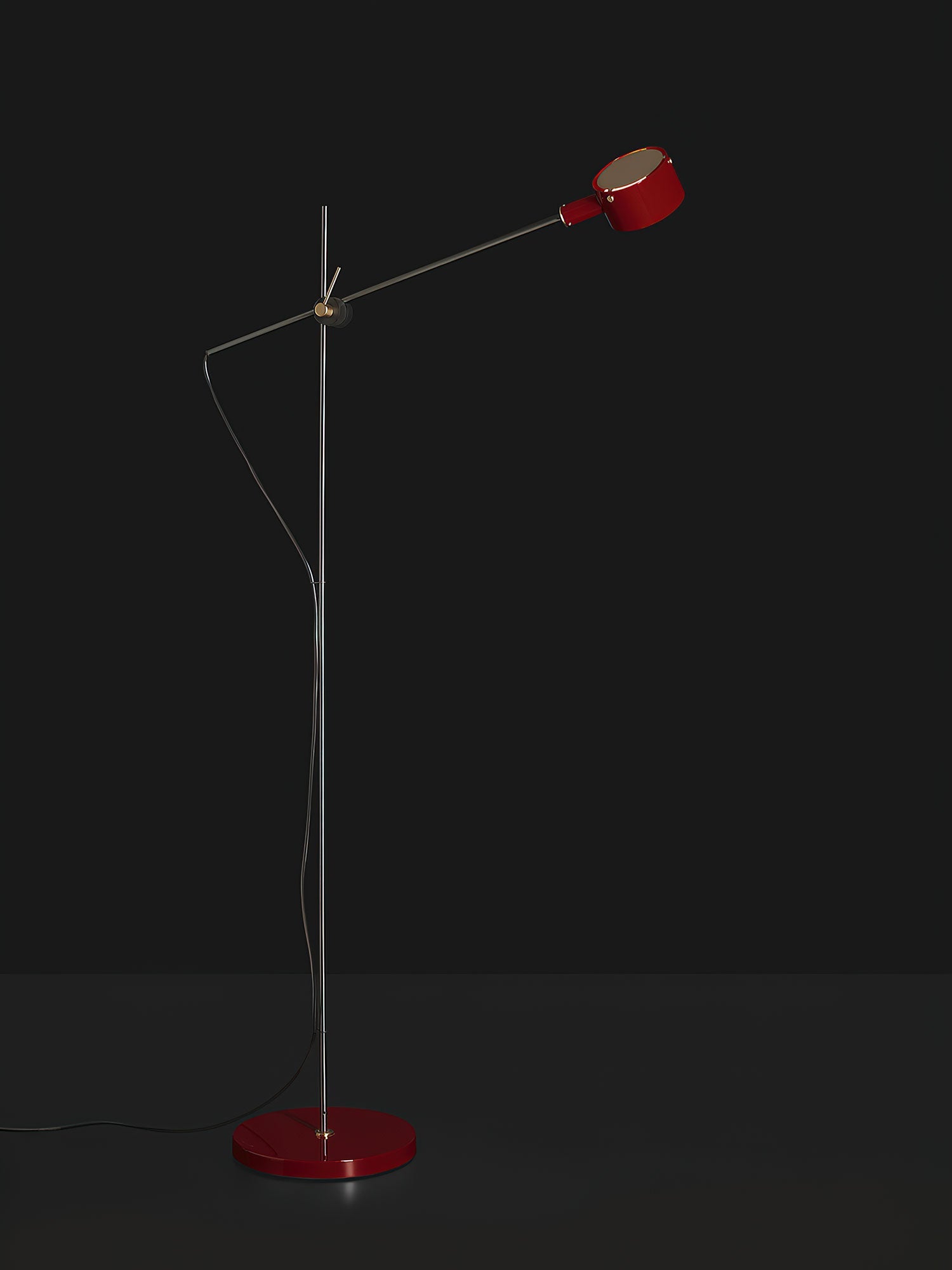 Arclen Adjustable Arm Floor Lamp